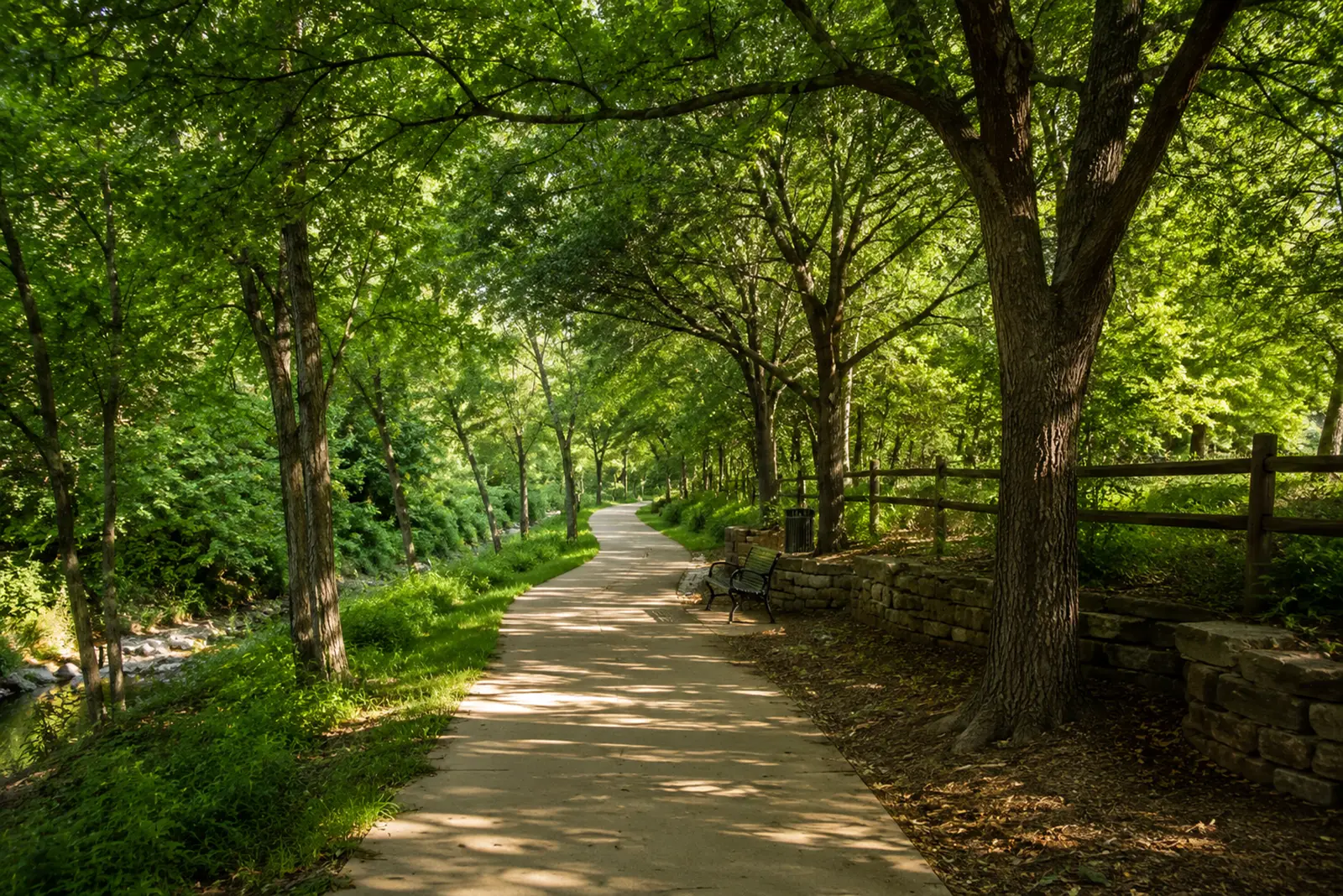 A shaded walking trail winding through green trees